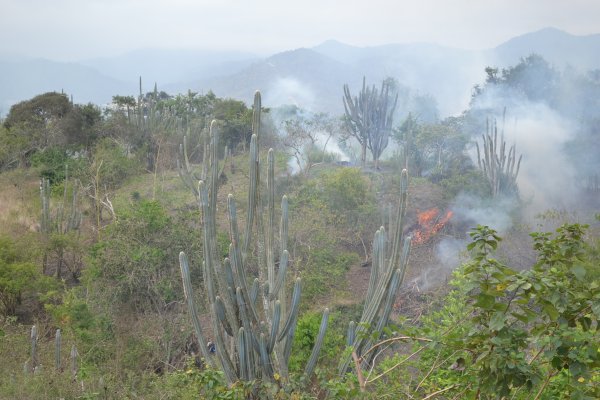 Burning on the back hill